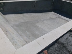 DSC 0337