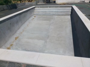 DSC 0338
