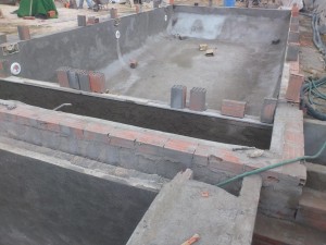 DSC 0833