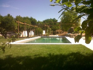 IMG00173-20110714-1152